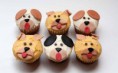 animalitos